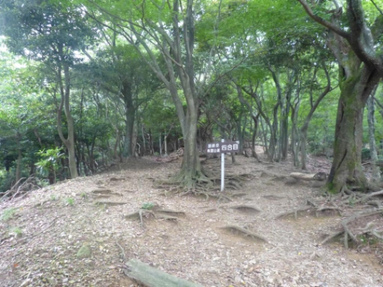 表登山道四合目